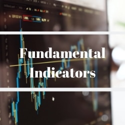 fundamental indicators