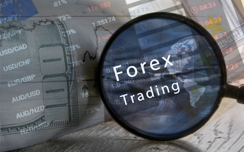 Top 5 Forex Trading Terms You Need to Know