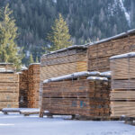 Lumber Futures Hit Limit Down As Decline Continues