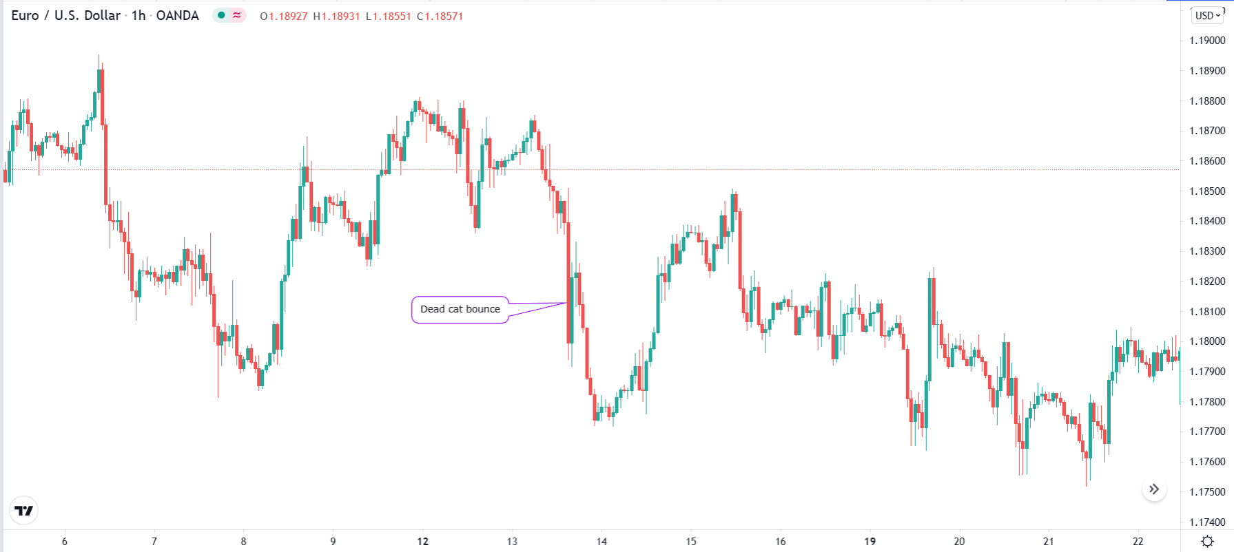 Dead Cat Bounce in Forex and Stocks Trading – Forex Traders Guide