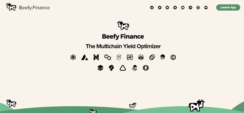 Beefy.Finance homepage